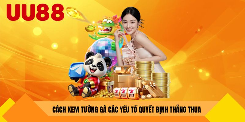 Cách xem tướng gà các yếu tố quyết định thắng thua
